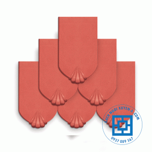 Ngói Con Sò Hạ Long