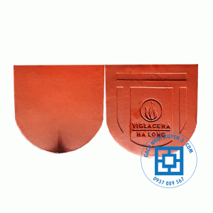 Ngói Mũi Hài Nhỏ Hạ Long
