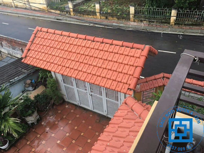Khả năng chống chịu với thiên nhiên