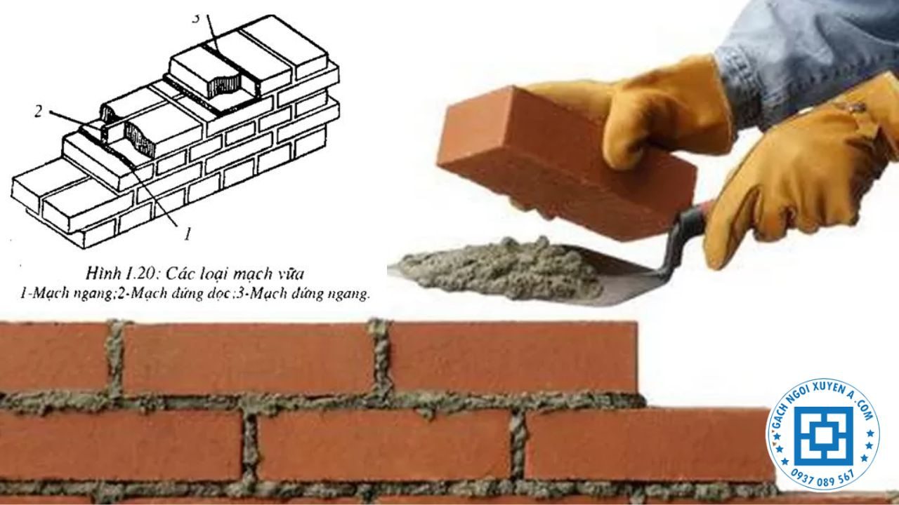 Các loại mạch vữa