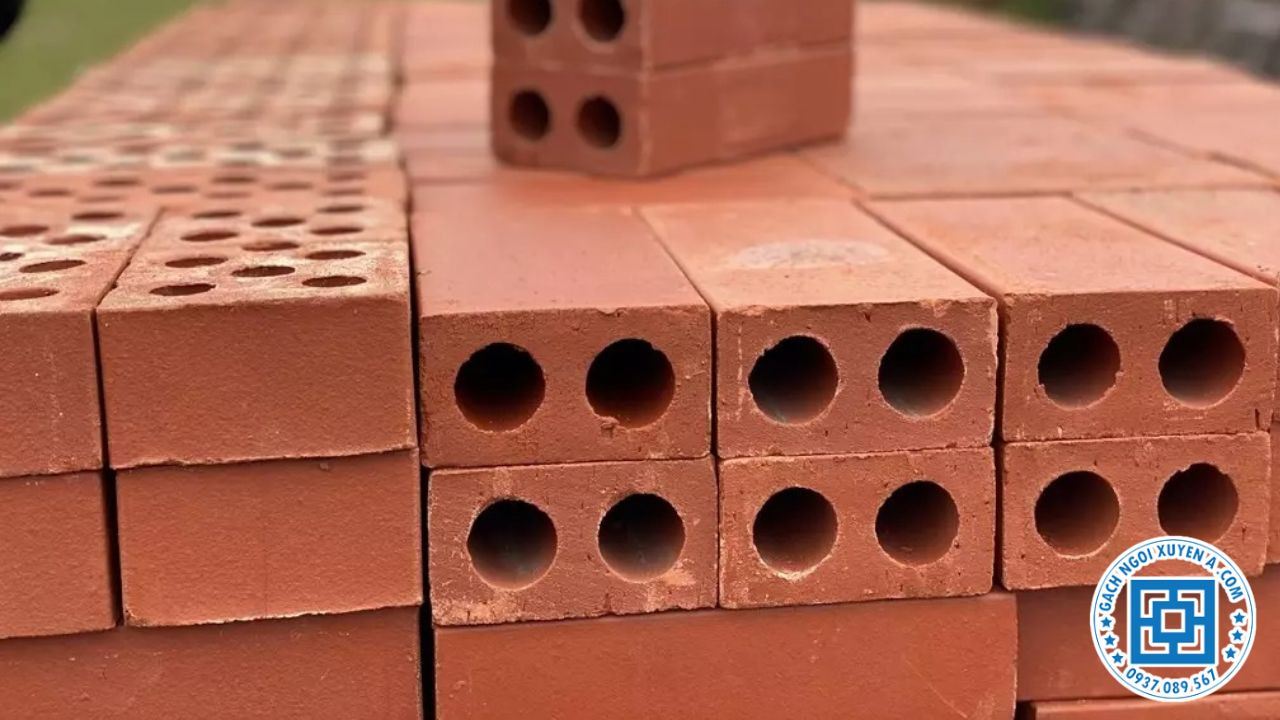 Đa dạng kích thước gạch 2 lỗ khác nhau