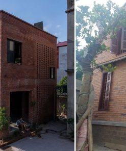 Độ bền vượt trội theo năm tháng