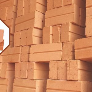 Gạch Đinh Đặc 210x100x45 mm