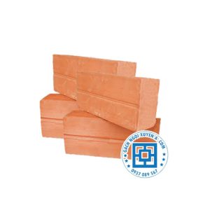 Gạch Đinh Đặc Ruột 210x100x45 mm