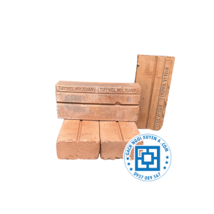 gạch đinh đặc ruột 230x115x65 mm