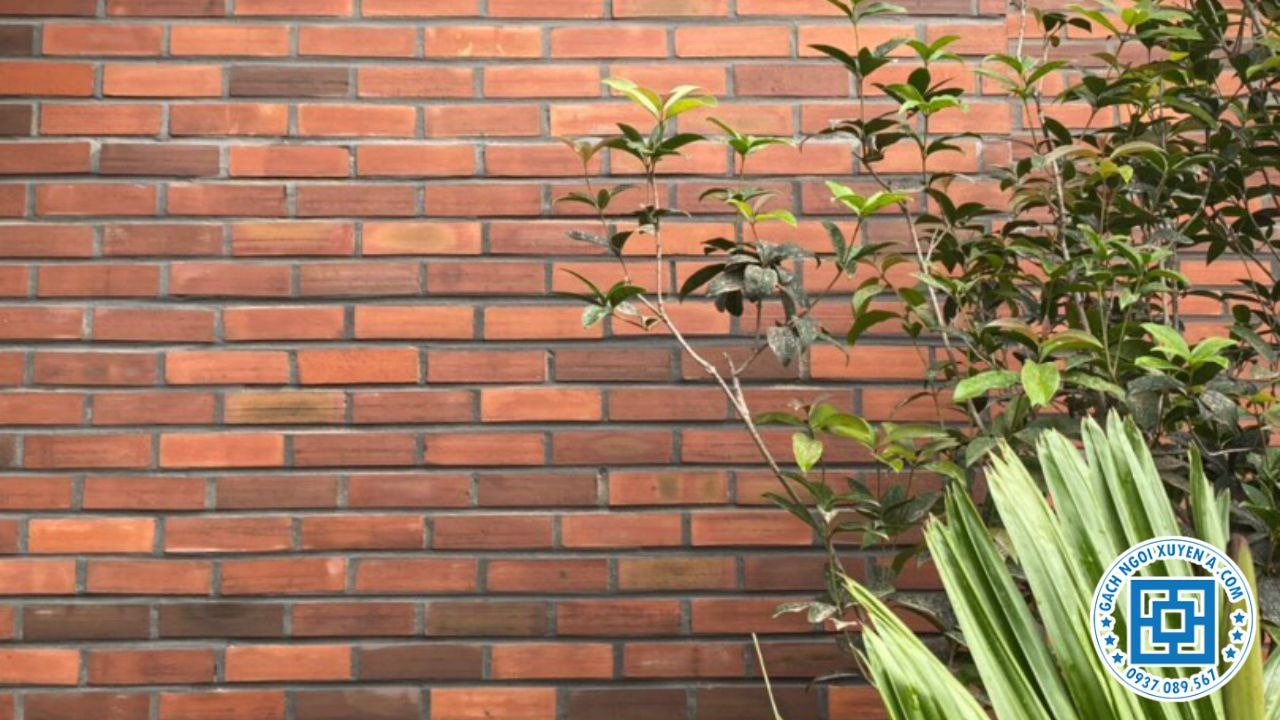 Gạch đinh ốp tường