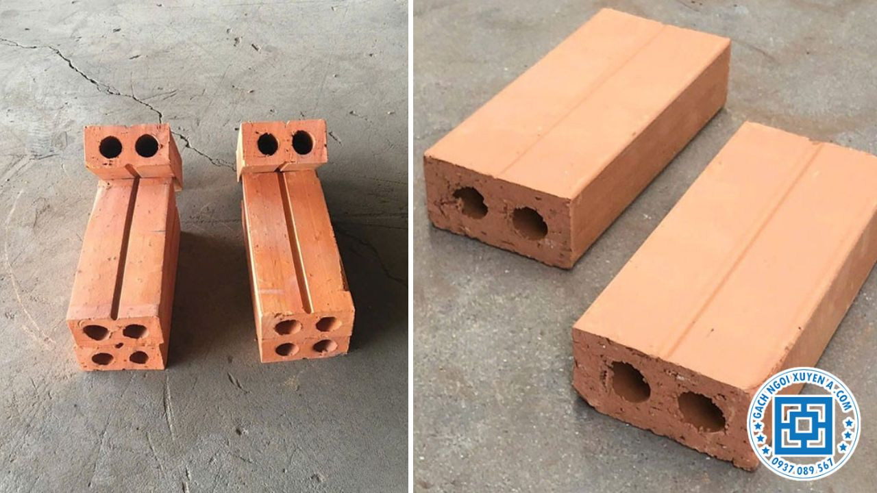 Hình dáng hình chữ nhật gạch 2 lỗ