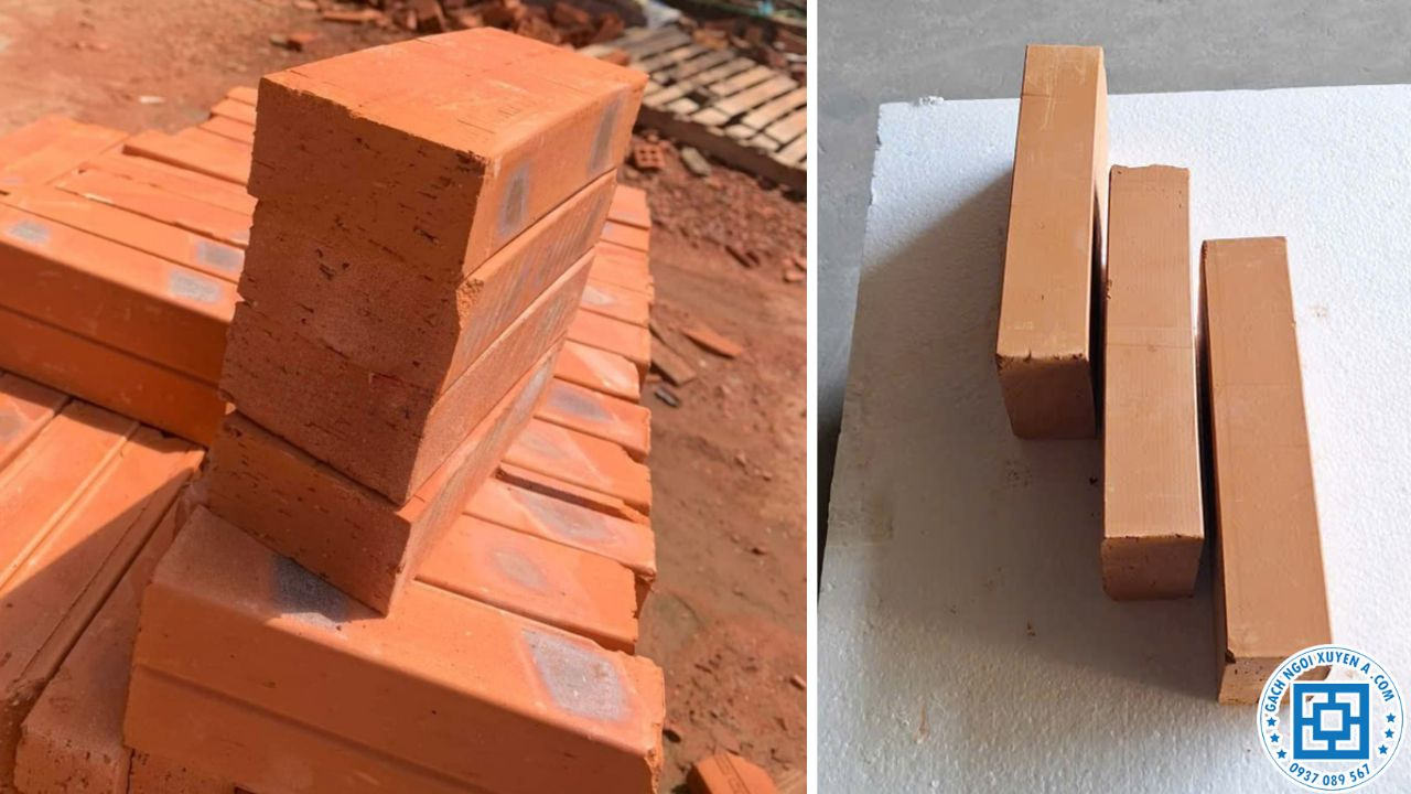 Gạch đinh đặc có nhiều kích thước khác nhau