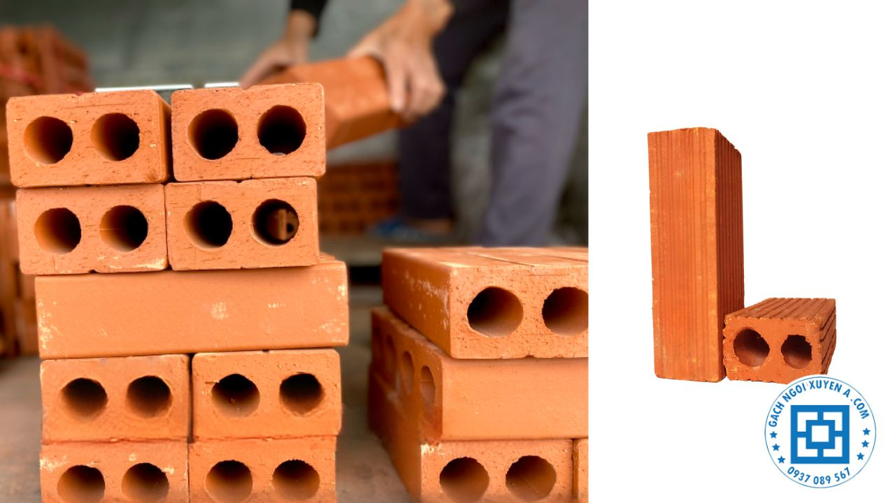 Kích thước chuẩn gạch đinh 2 lỗ