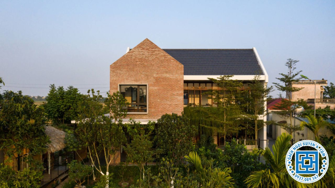 Màu Sắc Tự Nhiên Tạo Nên Vẻ Đẹp Sang Trọng