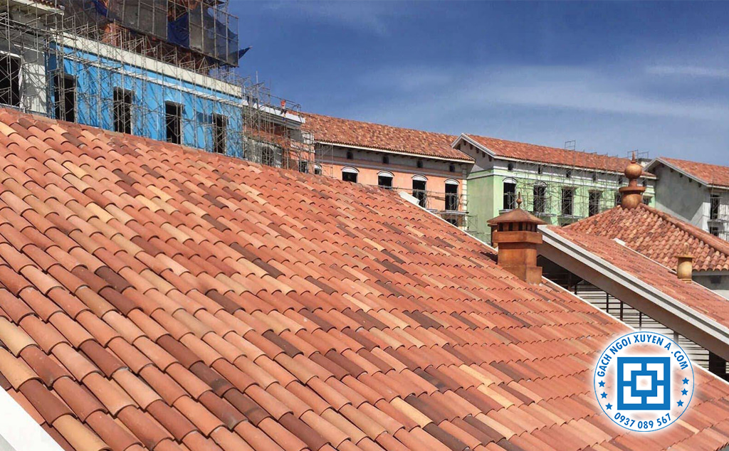 Ngói Có Tuổi Thọ Cao & Màu Sắc Bền Bỉ