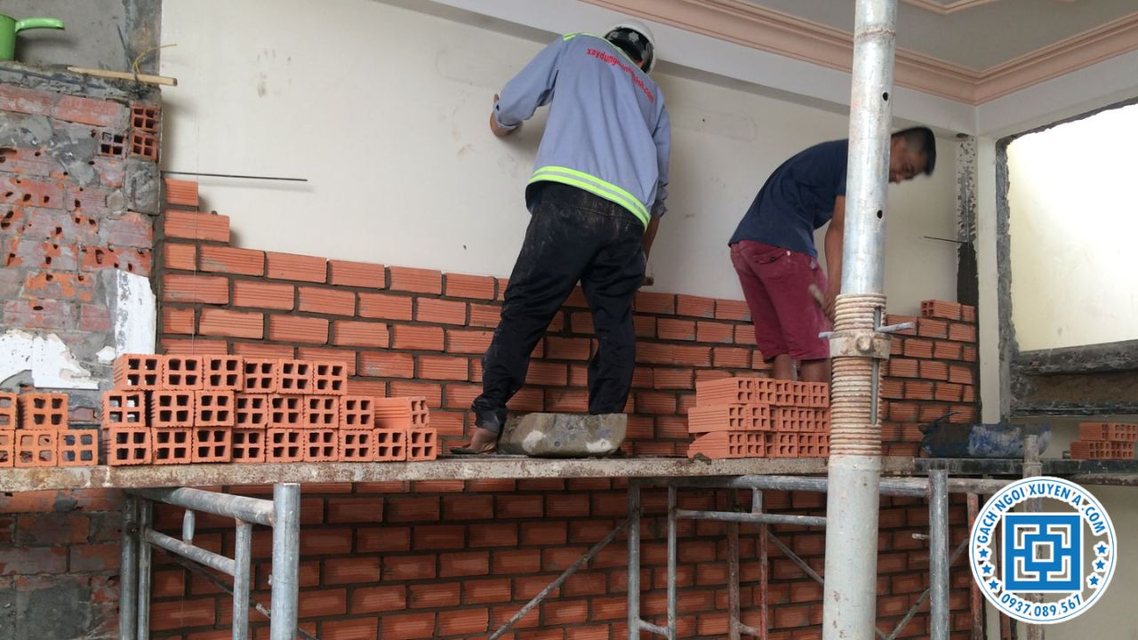 Gạch Lỗ Hỗ Trợ Tưởng "Thở Tự Nhiên"