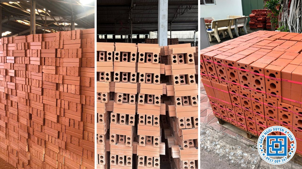 Gạch Ngói Xuyên Á Cung Cấp Đa Dạng Các Loại GẠch Lỗ Xây Dựng