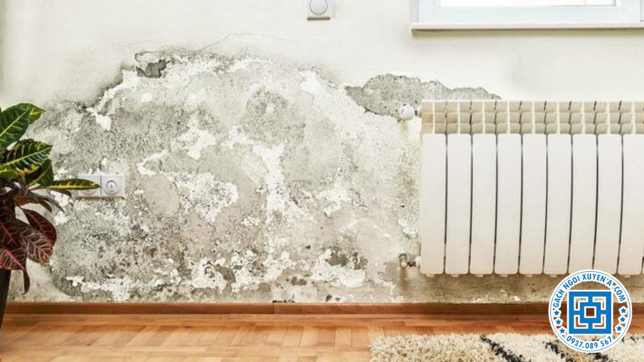 Tường Bị Thấm Nước & Ẩm Mốc
